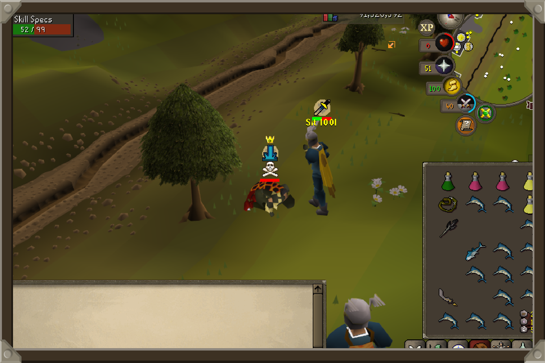 Server screenshot